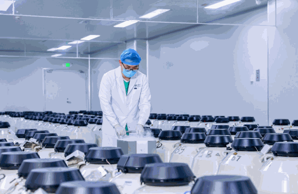 优二十三基因检测